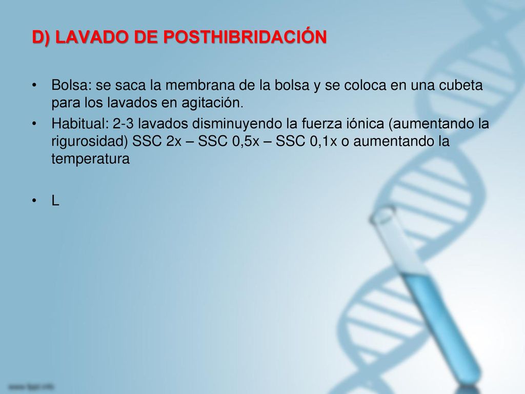 D) LAVADO DE POSTHIBRIDACIÓN