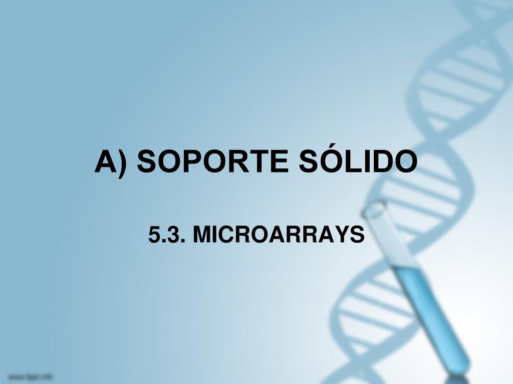 A) SOPORTE SÓLIDO 5.3. MICROARRAYS