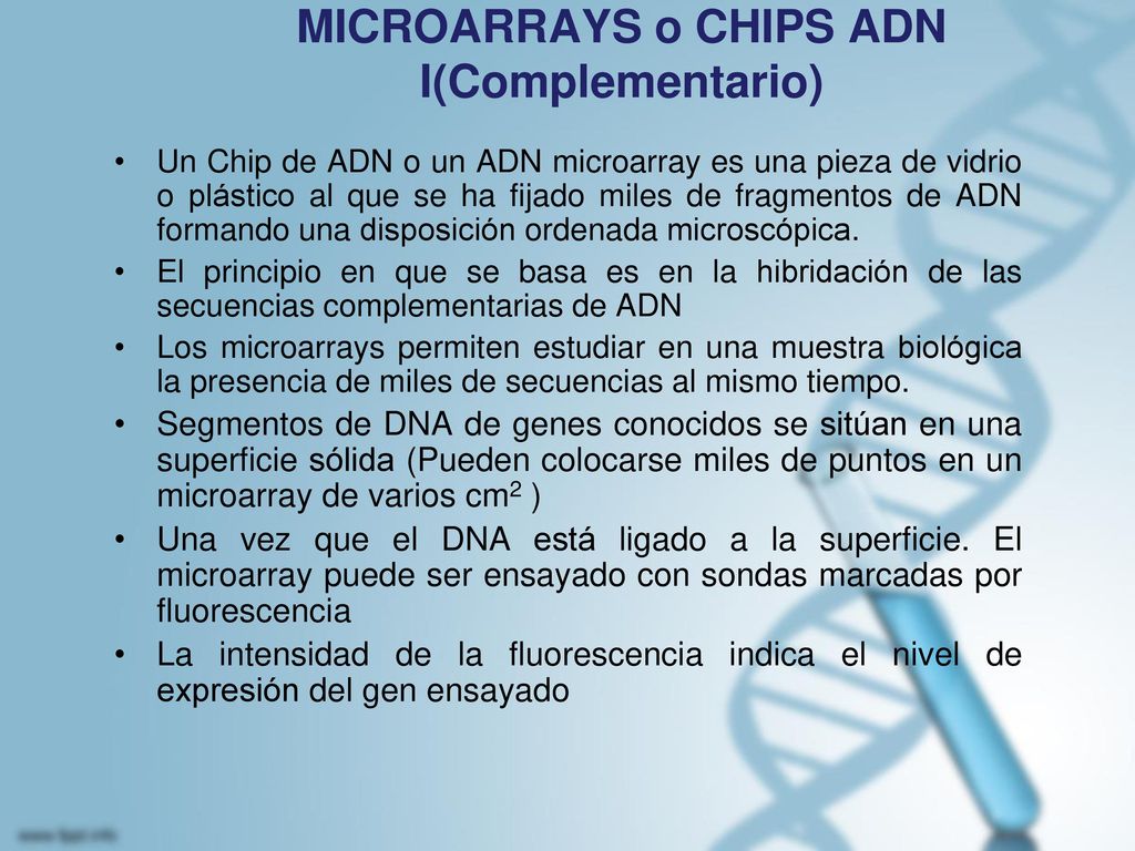 MICROARRAYS o CHIPS ADN I(Complementario)