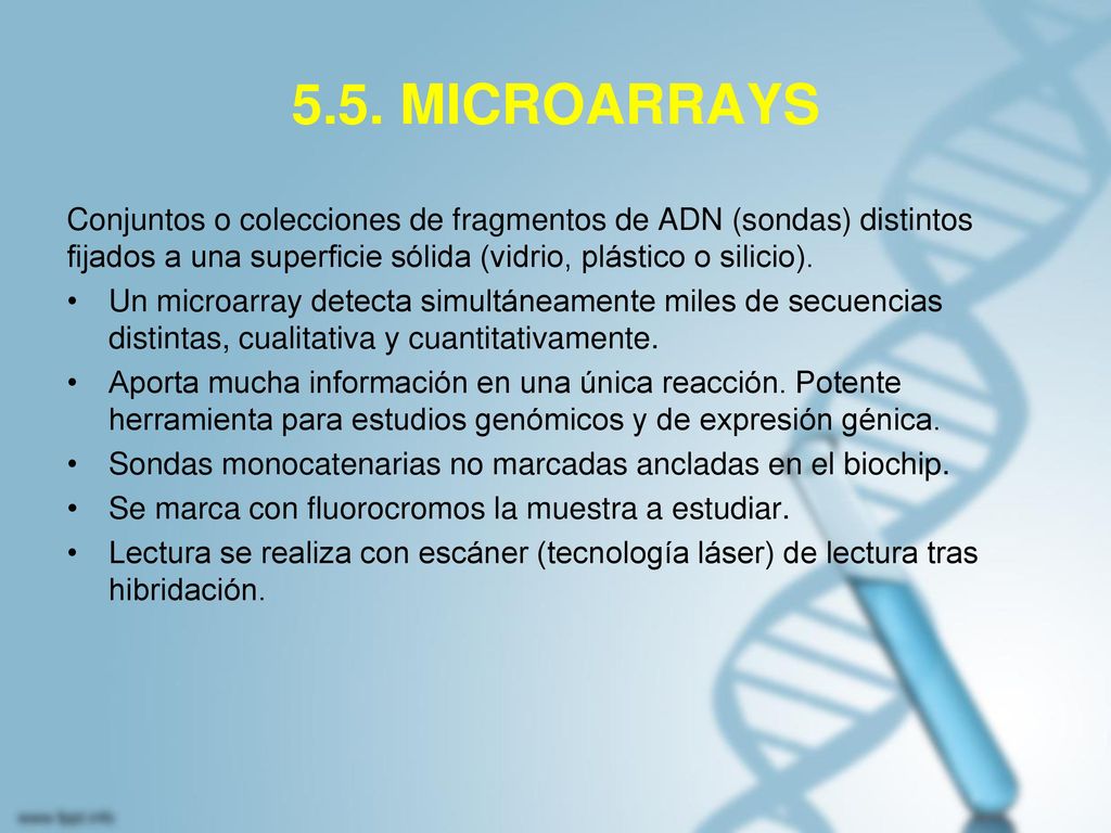 5.5. MICROARRAYS Conjuntos o colecciones de fragmentos de ADN (sondas) distintos fijados a una superficie sólida (vidrio, plástico o silicio).
