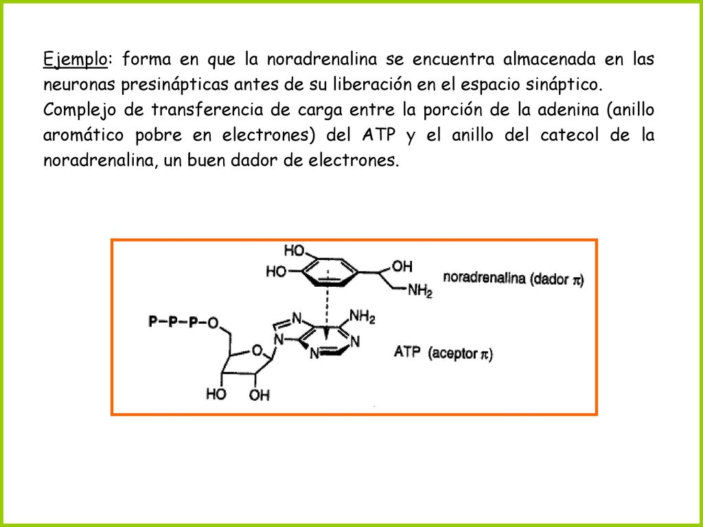 Ejemplo: forma en que la noradrenalina se encuentra almacenada en las neuronas presinápticas antes de su liberación en el espacio sináptico.