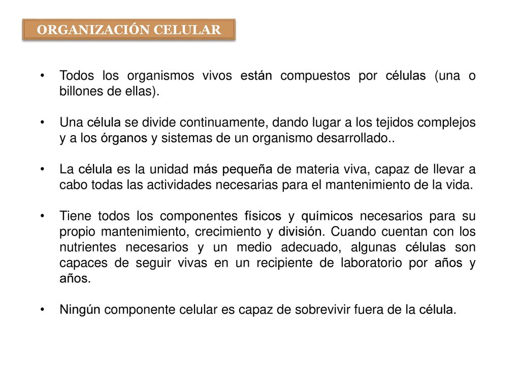 ORGANIZACIÓN CELULAR Todos los organismos vivos están compuestos por células (una o billones de ellas).