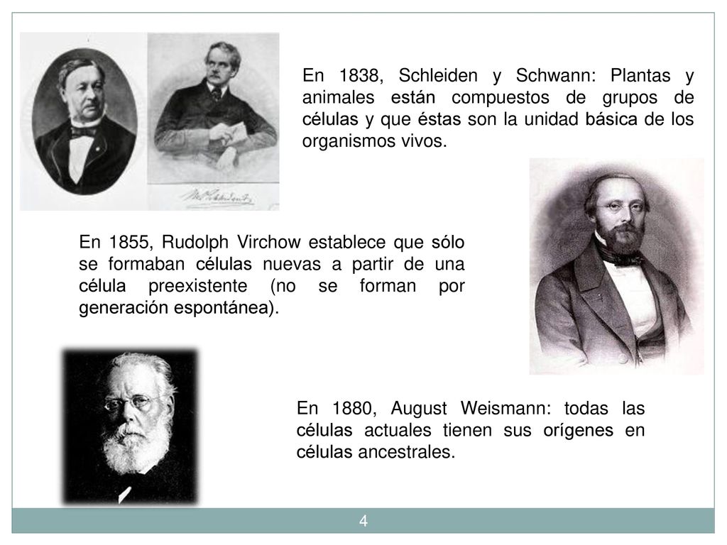 En 1838, Schleiden y Schwann: Plantas y animales están compuestos de grupos de células y que éstas son la unidad básica de los organismos vivos.