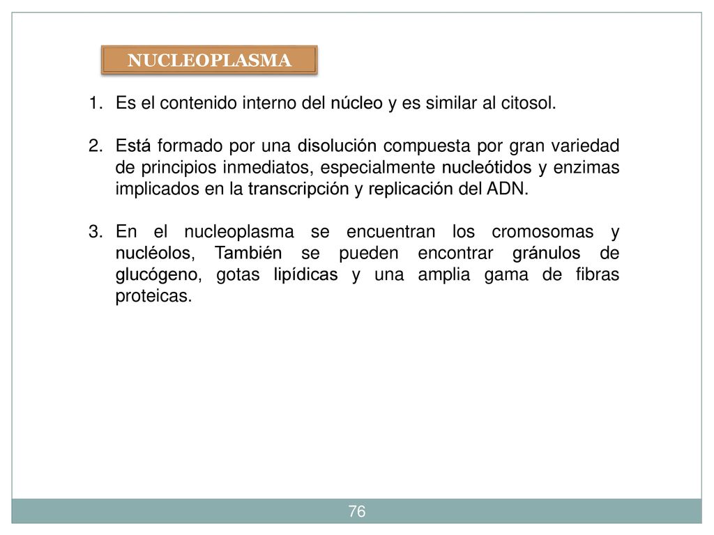 NUCLEOPLASMA Es el contenido interno del núcleo y es similar al citosol.