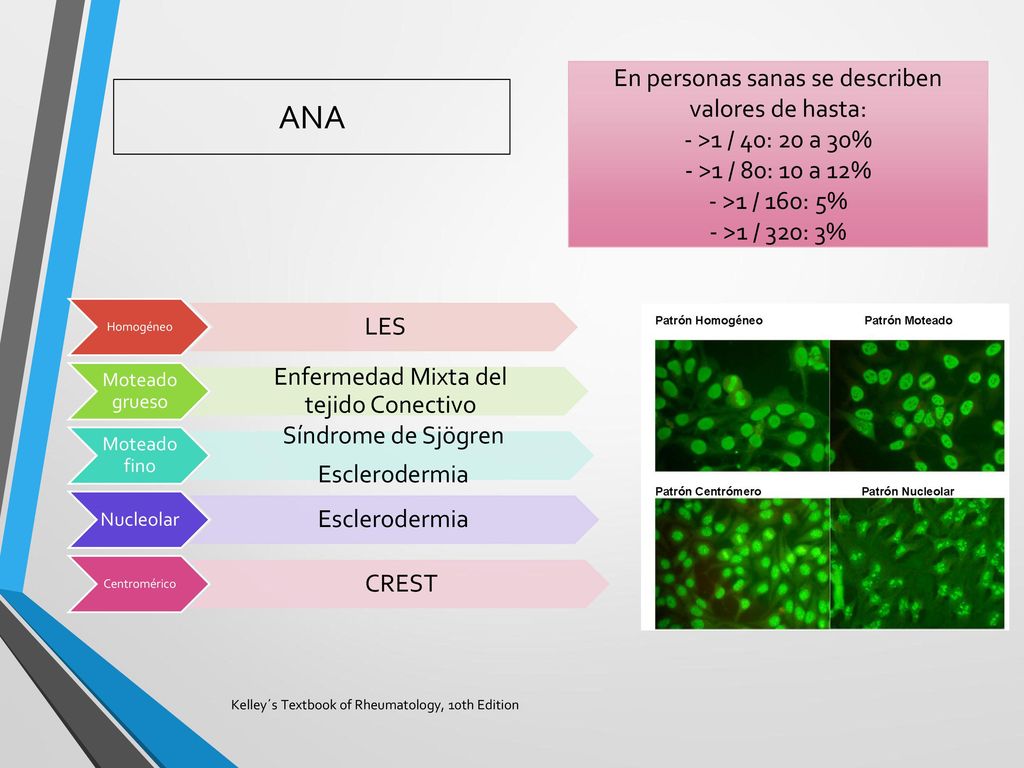 ANA En personas sanas se describen valores de hasta: