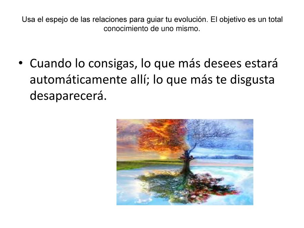 Usa el espejo de las relaciones para guiar tu evolución