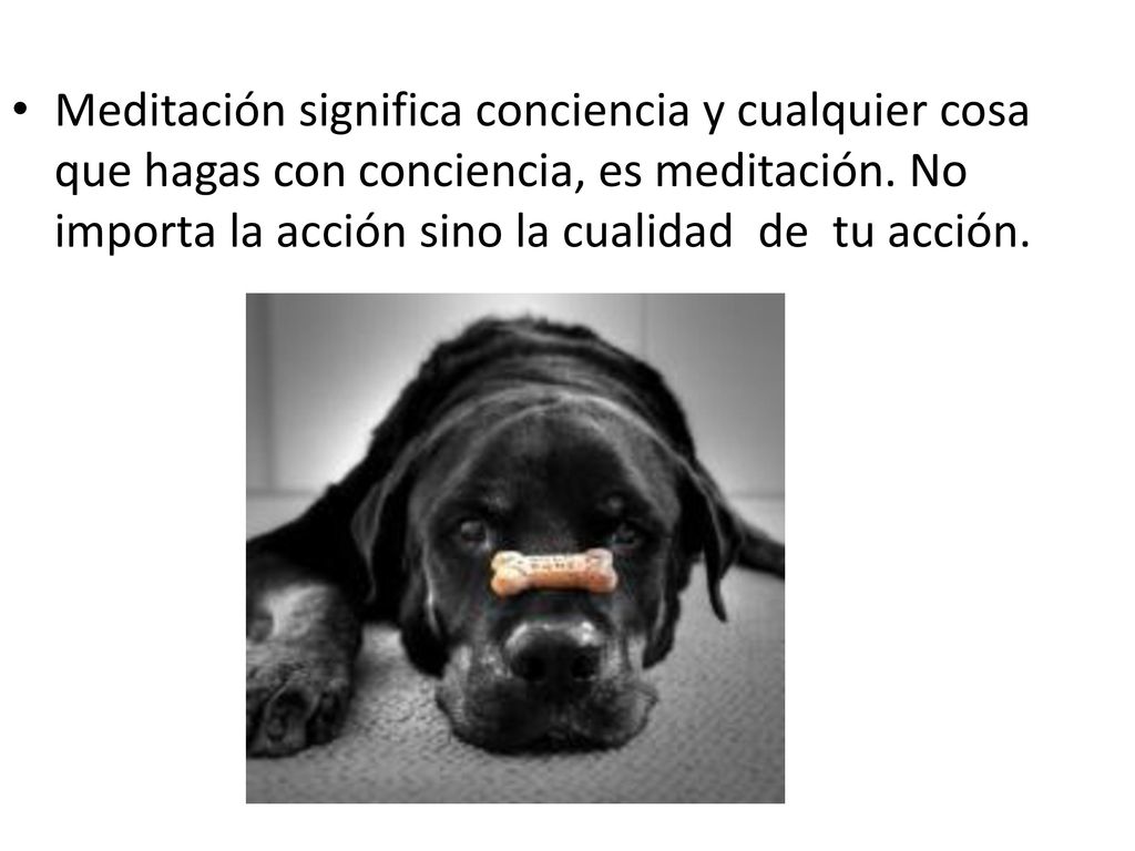 Meditación significa conciencia y cualquier cosa que hagas con conciencia, es meditación.