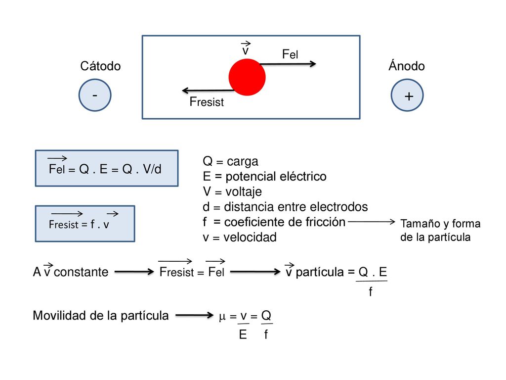 - + v Fel Cátodo Ánodo Fresist Fel = Q . E = Q . V/d Q = carga