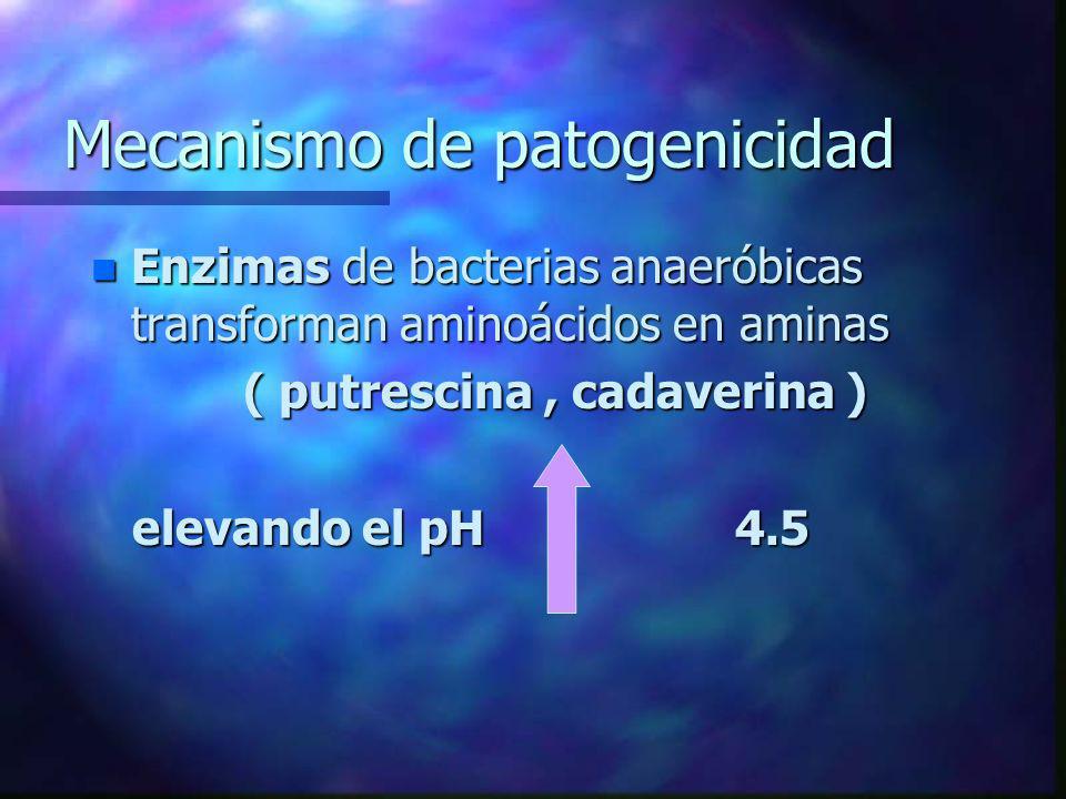 Mecanismo de patogenicidad