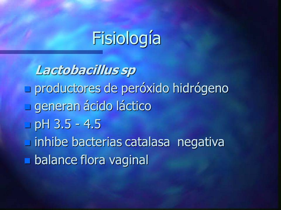Fisiología Lactobacillus sp productores de peróxido hidrógeno
