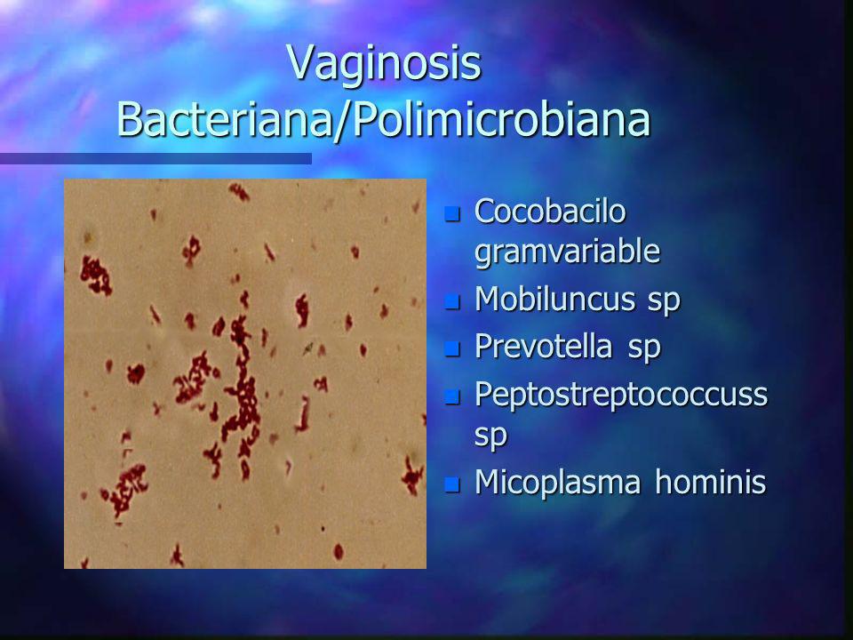 Vaginosis Bacteriana/Polimicrobiana