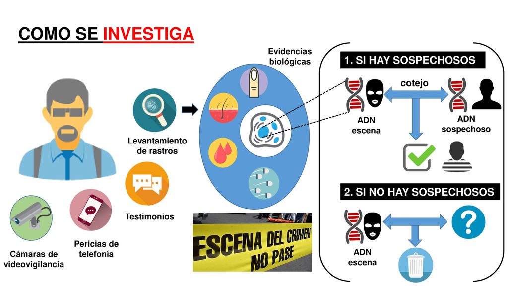 COMO SE INVESTIGA 1. SI HAY SOSPECHOSOS 2. SI NO HAY SOSPECHOSOS
