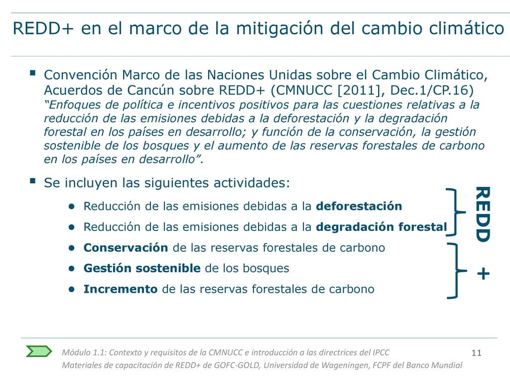 REDD+ en el marco de la mitigación del cambio climático