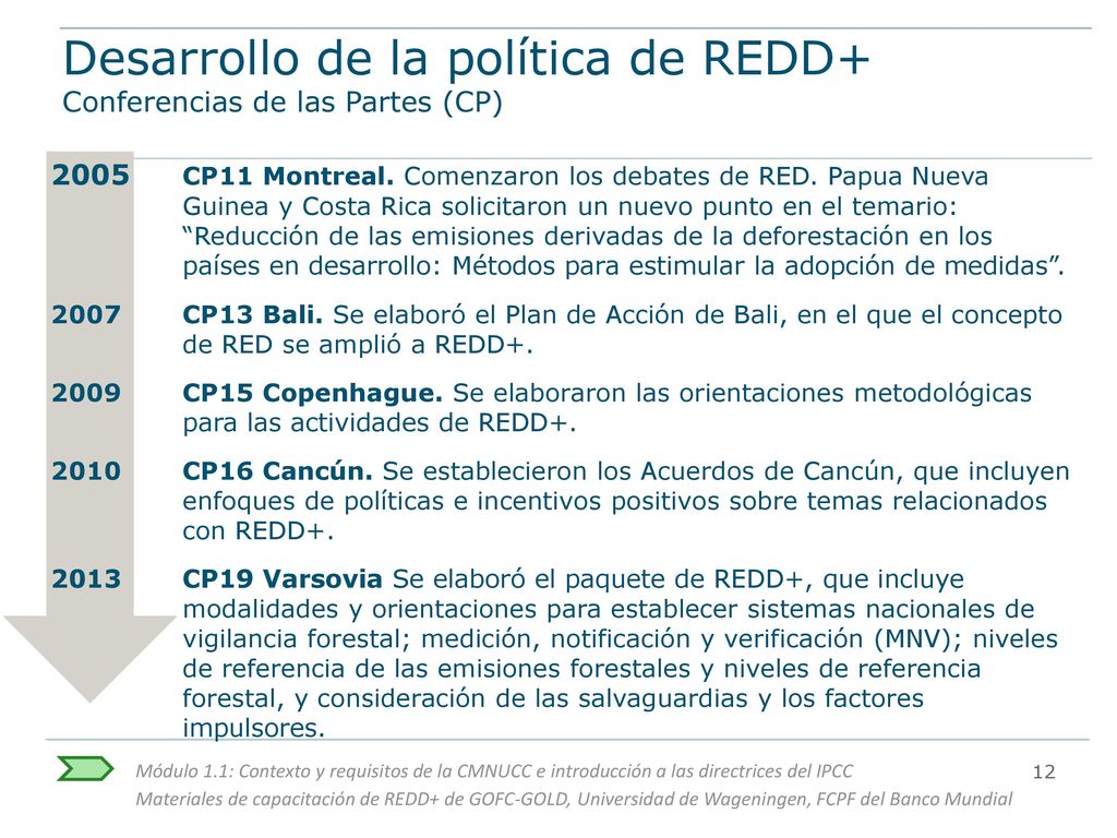 Desarrollo de la política de REDD+ Conferencias de las Partes (CP)