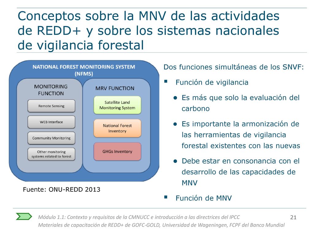 Conceptos sobre la MNV de las actividades de REDD+ y sobre los sistemas nacionales de vigilancia forestal