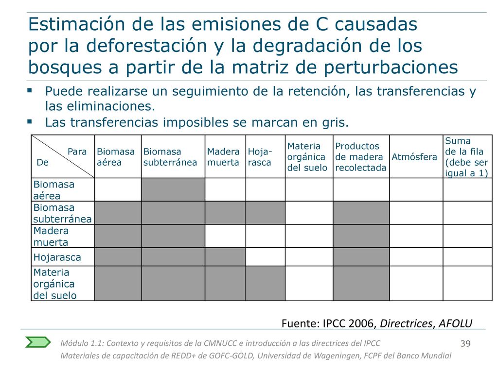 Estimación de las emisiones de C causadas por la deforestación y la degradación de los bosques a partir de la matriz de perturbaciones