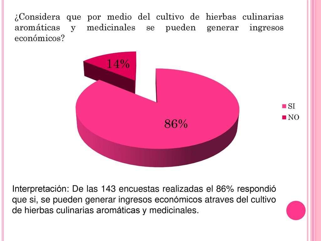 ¿Considera que por medio del cultivo de hierbas culinarias aromáticas y medicinales se pueden generar ingresos económicos