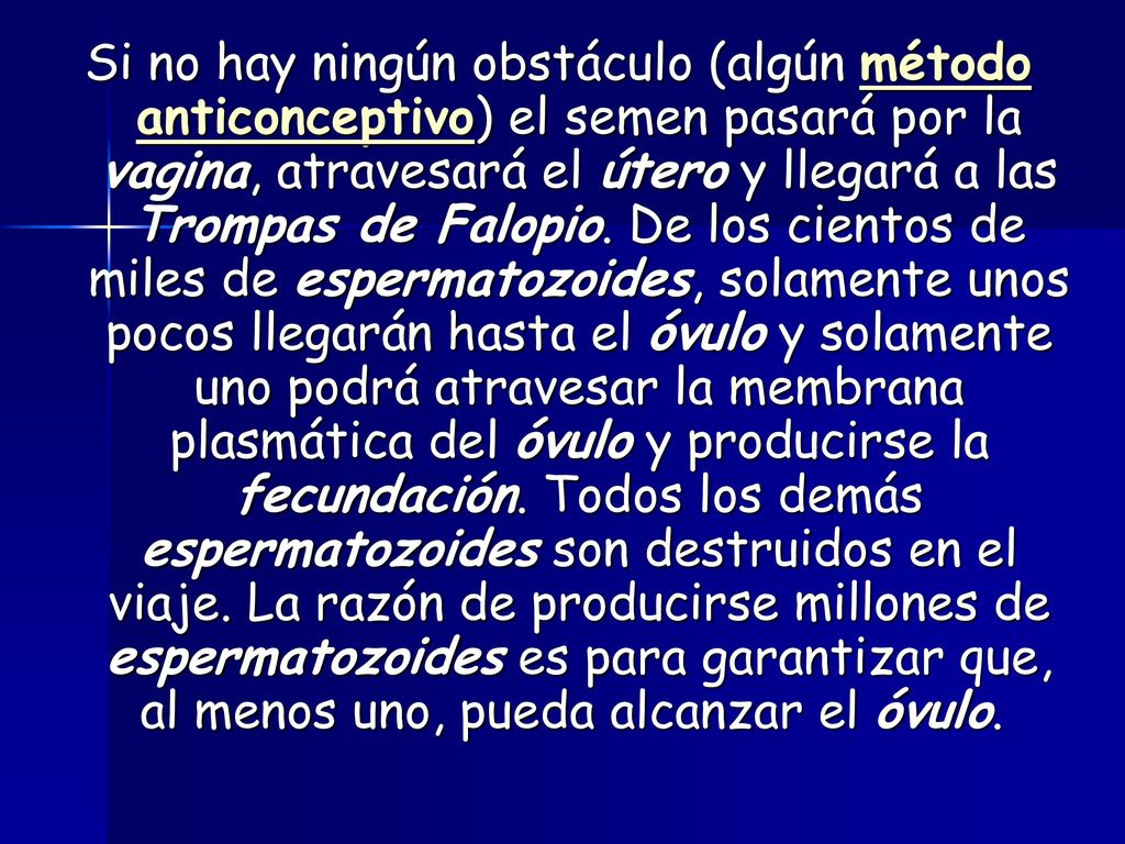 Si no hay ningún obstáculo (algún método anticonceptivo) el semen pasará por la vagina, atravesará el útero y llegará a las Trompas de Falopio.