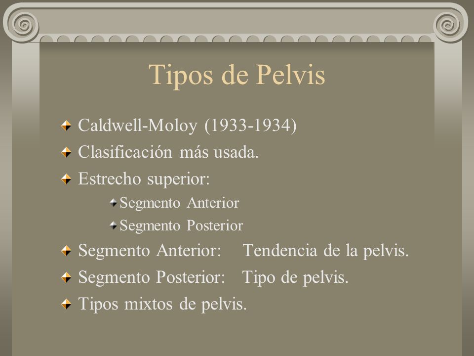 Tipos de Pelvis Caldwell-Moloy ( ) Clasificación más usada.