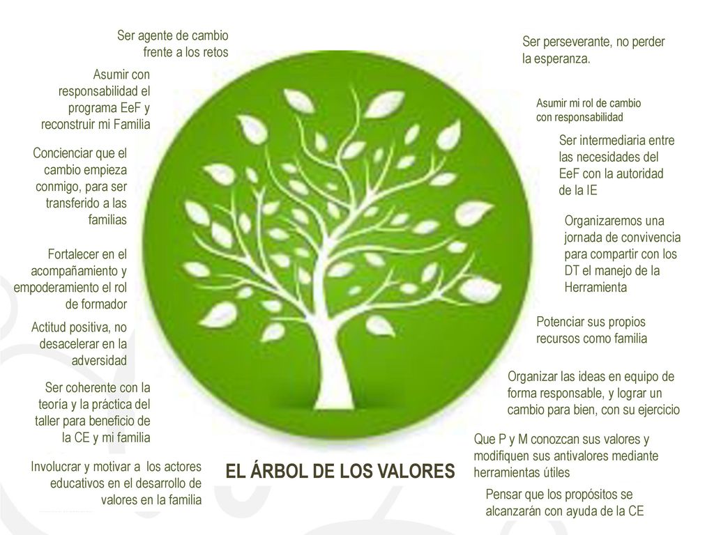 EL ÁRBOL DE LOS VALORES Ser agente de cambio frente a los retos