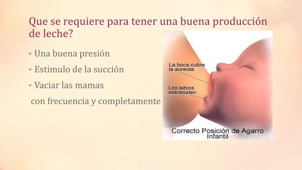 Que se requiere para tener una buena producción de leche