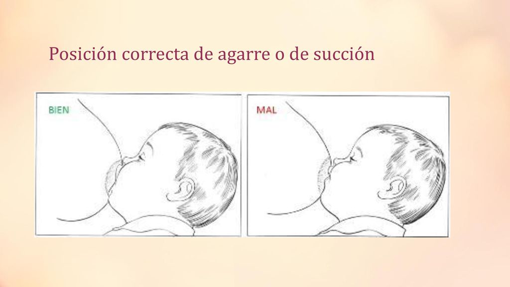 Posición correcta de agarre o de succión