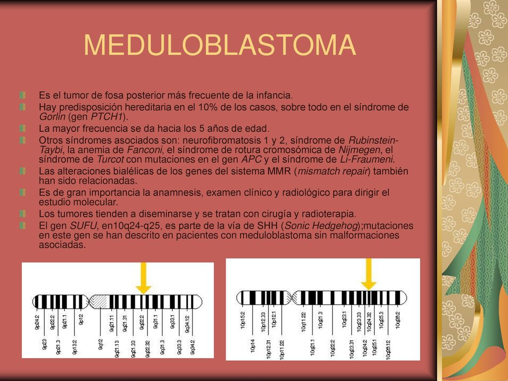 MEDULOBLASTOMA Es el tumor de fosa posterior más frecuente de la infancia.