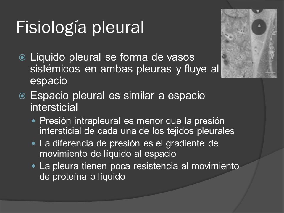 Fisiología pleural Liquido pleural se forma de vasos sistémicos en ambas pleuras y fluye al espacio.