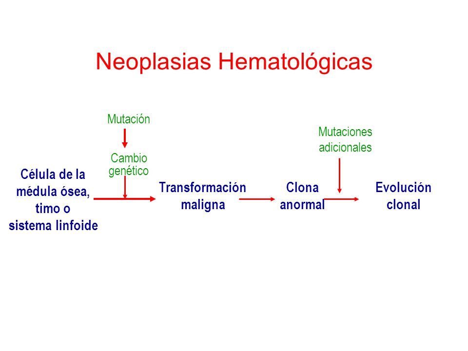 Neoplasias Hematológicas