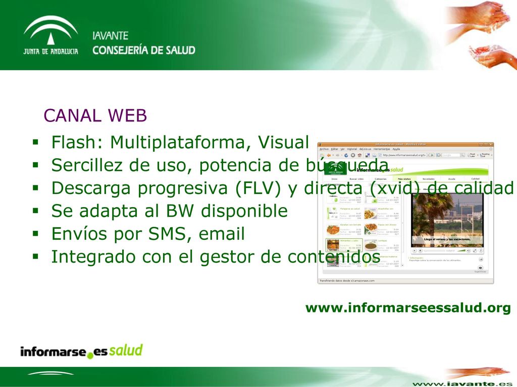 Flash: Multiplataforma, Visual Sercillez de uso, potencia de búsqueda