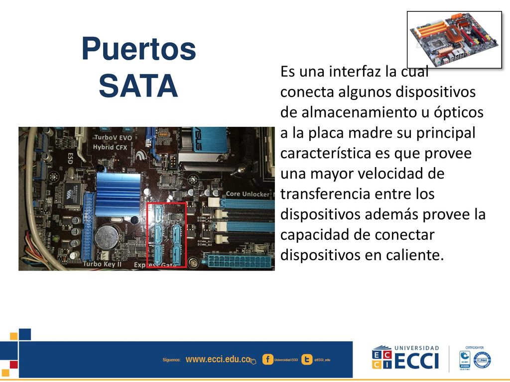 Es una interfaz la cual conecta algunos dispositivos de almacenamiento u ópticos a la placa madre su principal característica es que provee una mayor velocidad de transferencia entre los dispositivos además provee la capacidad de conectar dispositivos en caliente.