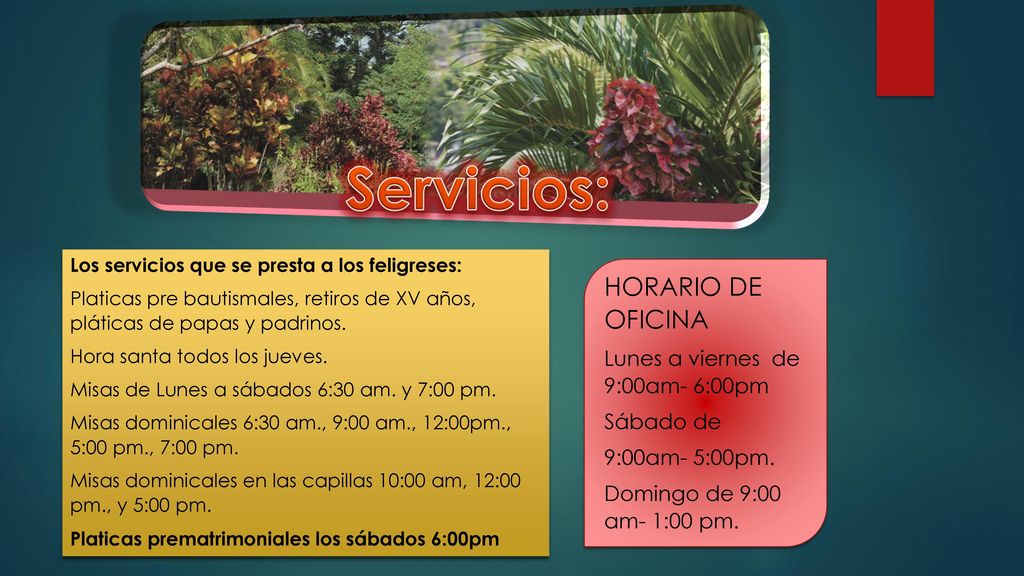 Servicios: HORARIO DE OFICINA Lunes a viernes de 9:00am- 6:00pm