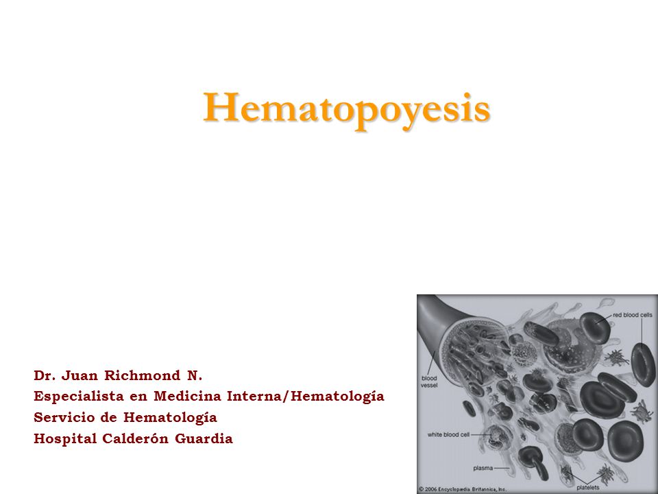 Hematopoyesis Dr. Juan Richmond N.