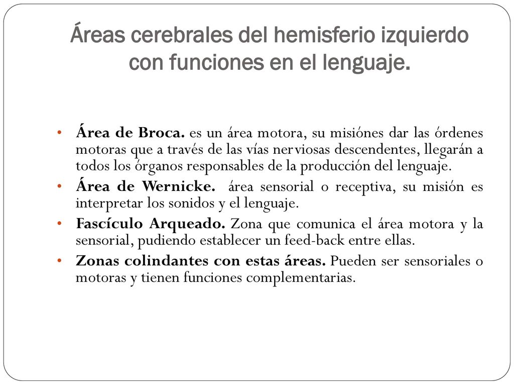 Áreas cerebrales del hemisferio izquierdo con funciones en el lenguaje.
