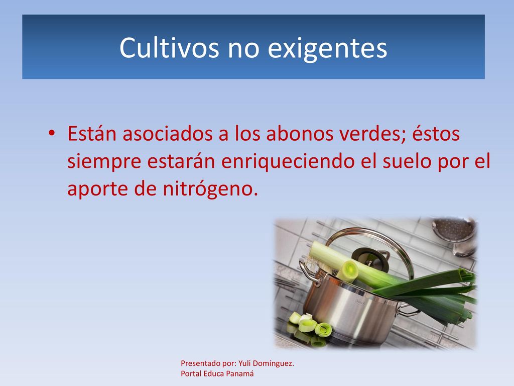 Cultivos no exigentes Están asociados a los abonos verdes; éstos siempre estarán enriqueciendo el suelo por el aporte de nitrógeno.