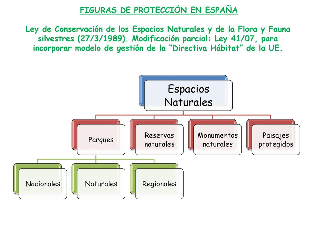 FIGURAS DE PROTECCIÓN EN ESPAÑA Ley de Conservación de los Espacios Naturales y de la Flora y Fauna silvestres (27/3/1989). Modificación parcial: Ley 41/07, para incorporar modelo de gestión de la Directiva Hábitat de la UE.
