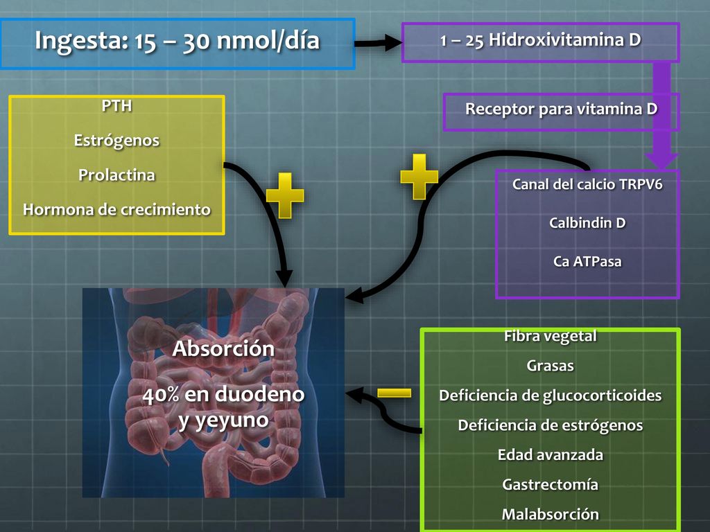 Ingesta: 15 – 30 nmol/día Absorción 40% en duodeno y yeyuno