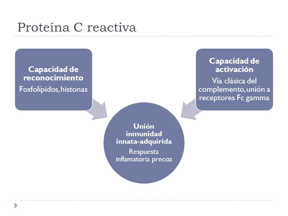 Proteína C reactiva Unión inmunidad innata-adquirida