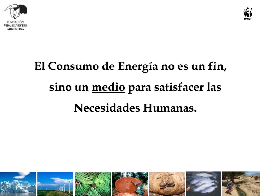 El Consumo de Energía no es un fin, sino un medio para satisfacer las Necesidades Humanas.