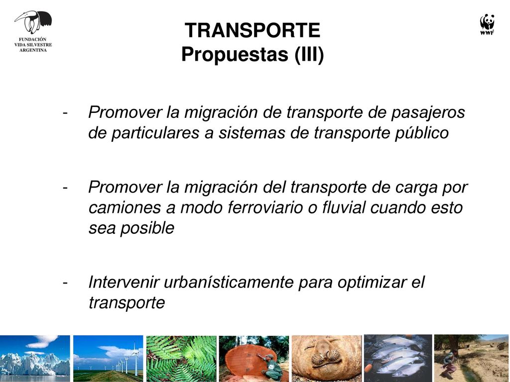 UREE en el Transporte Propuestas para un transporte sustentable
