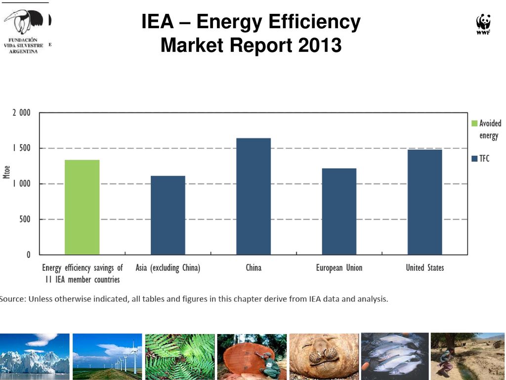 IEA – Energy Efficiency Market Report 2013