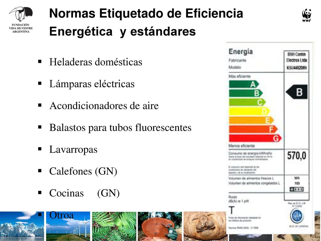 ¿Qué se ha hecho en etiquetado y estándares de eficiencia hasta el momento en la Argentina y cuál ha sido el resultado