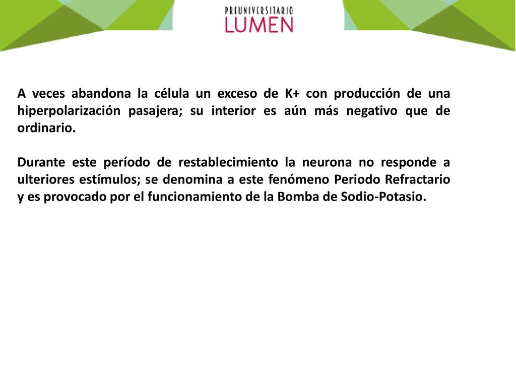 A veces abandona la célula un exceso de K+ con producción de una hiperpolarización pasajera; su interior es aún más negativo que de ordinario.