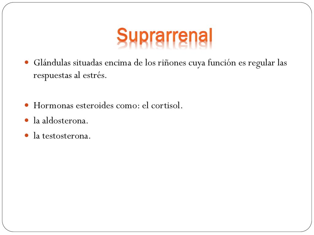 Suprarrenal Glándulas situadas encima de los riñones cuya función es regular las respuestas al estrés.