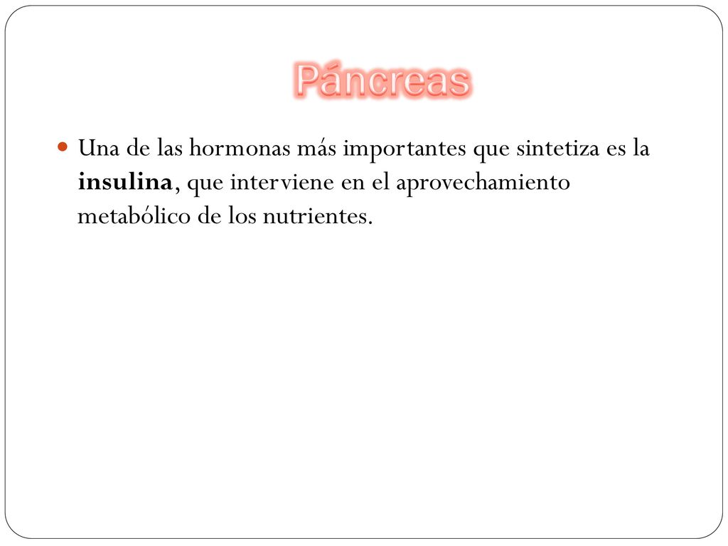 Páncreas Una de las hormonas más importantes que sintetiza es la insulina, que interviene en el aprovechamiento metabólico de los nutrientes.