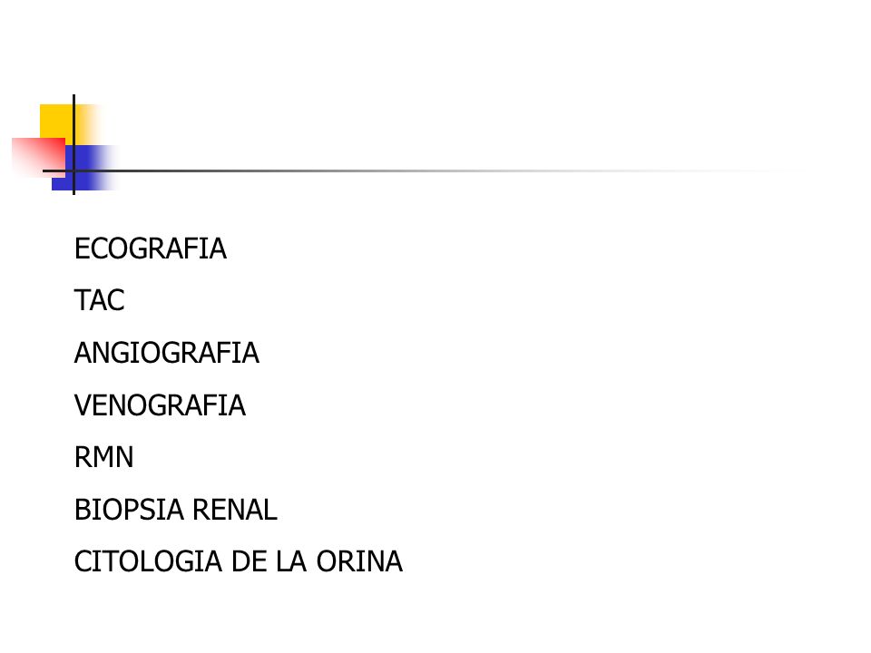 ECOGRAFIA TAC ANGIOGRAFIA VENOGRAFIA RMN BIOPSIA RENAL CITOLOGIA DE LA ORINA