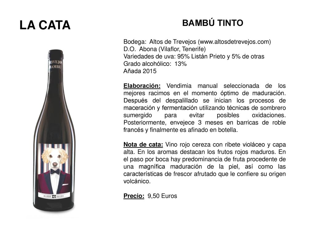 BAMBÚ TINTO LA CATA. Bodega: Altos de Trevejos (  D.O. Abona (Vilaflor, Tenerife)