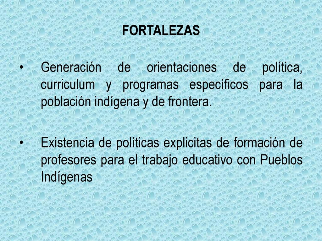 FORTALEZAS Generación de orientaciones de política, curriculum y programas específicos para la población indígena y de frontera.