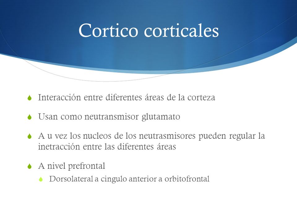 Cortico corticales Interacción entre diferentes áreas de la corteza