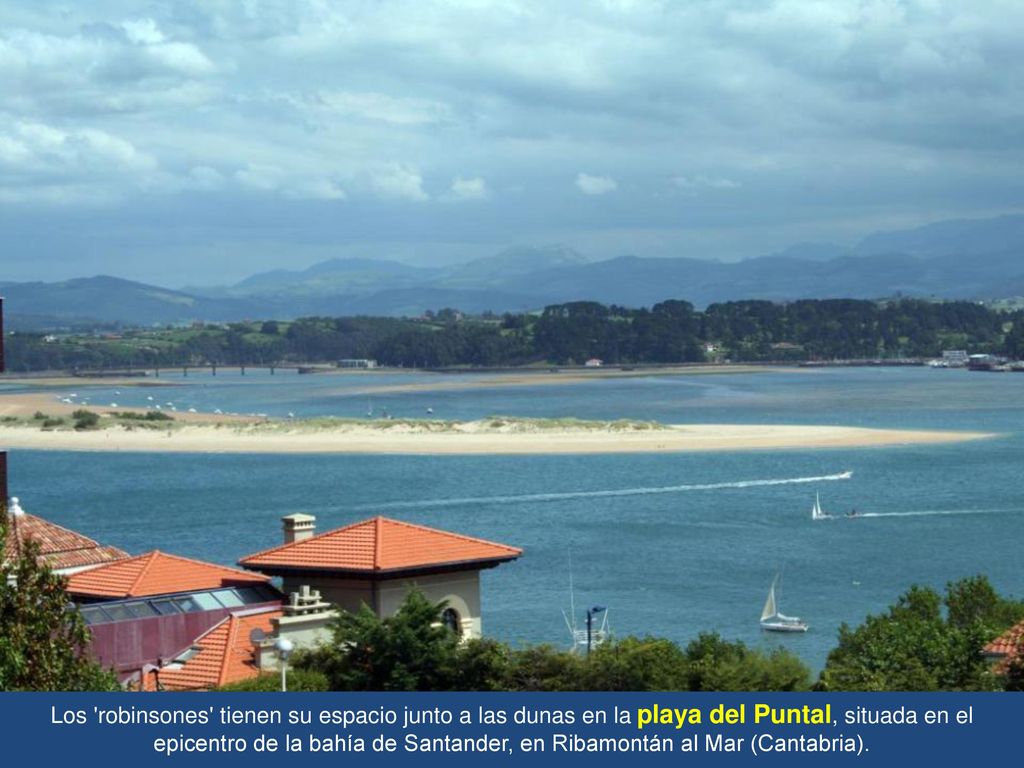 Los robinsones tienen su espacio junto a las dunas en la playa del Puntal, situada en el epicentro de la bahía de Santander, en Ribamontán al Mar (Cantabria).